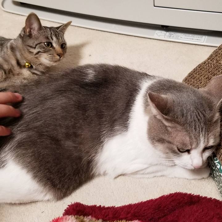 Ad315fa4 cbd6 42fe bc14 e74dd95a94ad 1675090936216