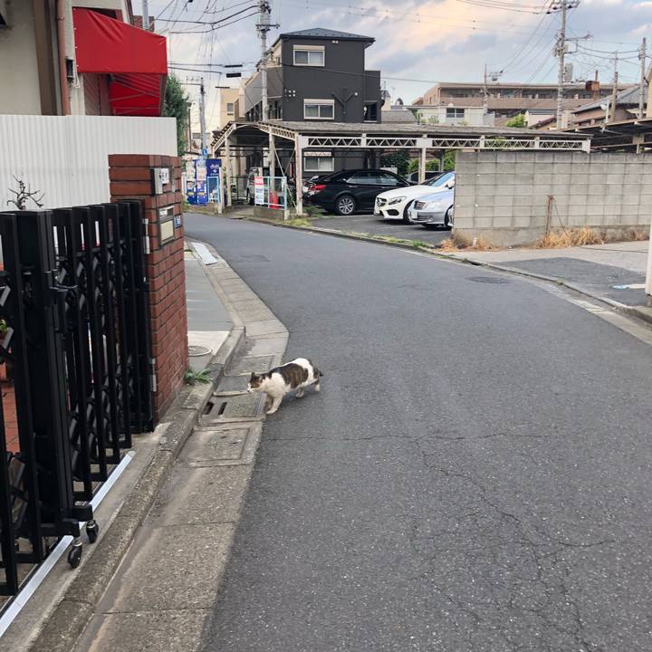 Ad318705 7485 45ac b379 30e5bb09b421 1527859952671