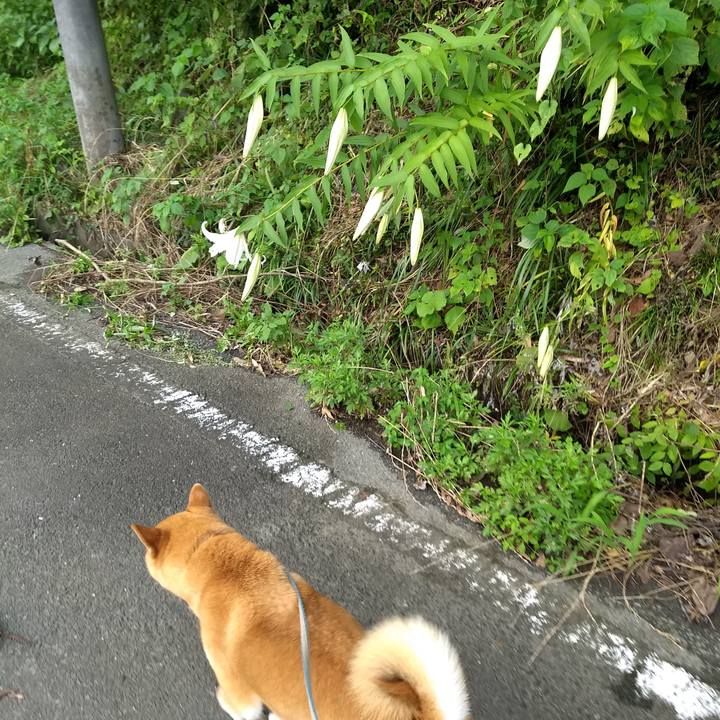 Ad31cb0b 4f03 44e3 a91f 2f41fcb2e5bb 1563366746026