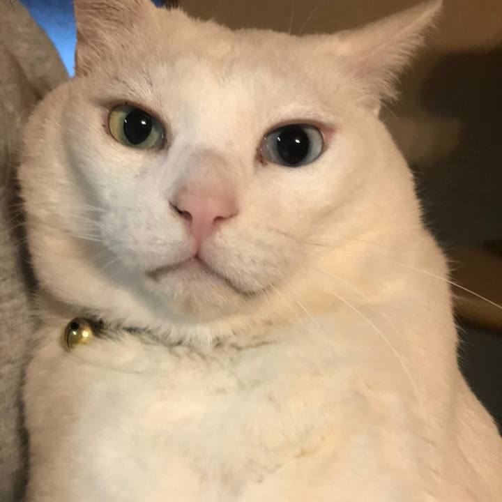 Ad31de97 8fa0 4e53 829b 5ce9033e9673 1583273101268