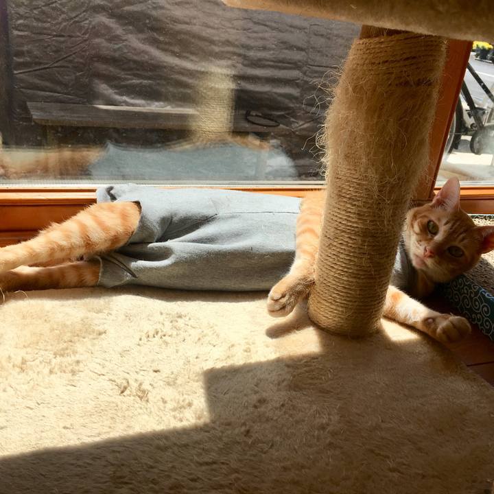 Ad31f332 db89 4dd5 95ab 750f40b01046 1523157313402