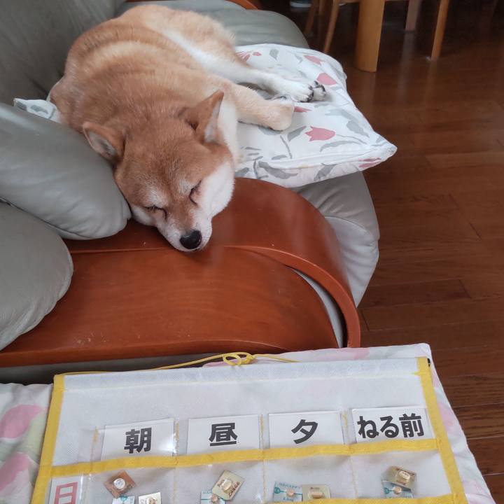 Ad31f3cb b99c 4934 8ebf b4814484bd99 1759021212926