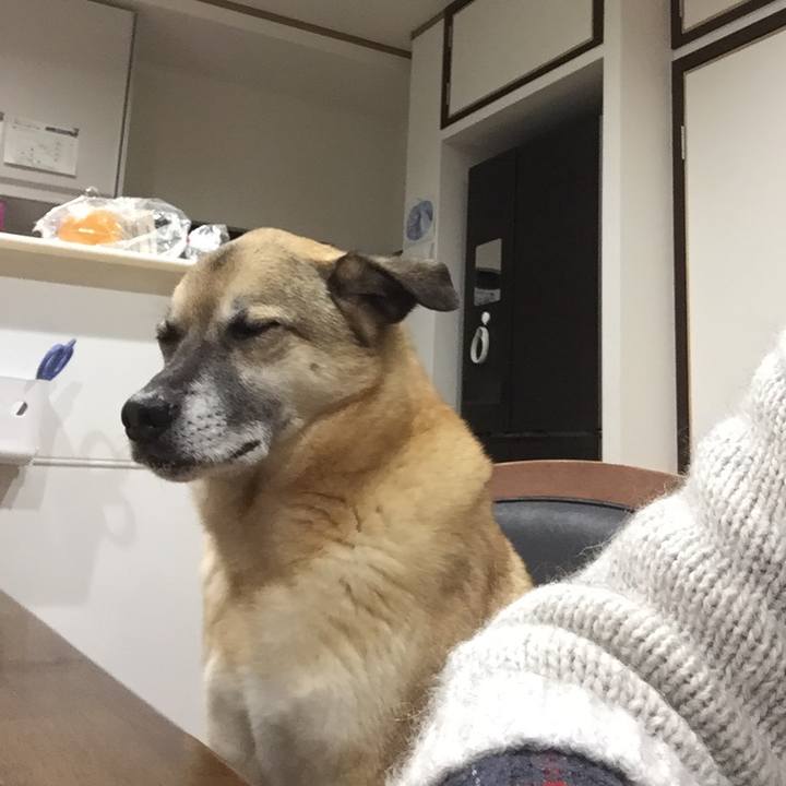 Ad324495 708a 4987 aade 0907abff83ac 1516873803821