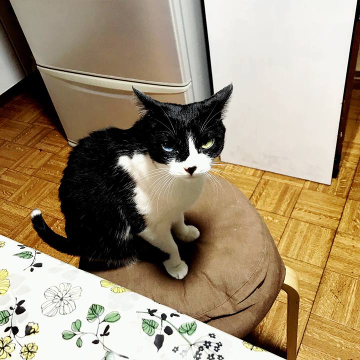 Ad324981 3a9c 440a b2f0 3231ec4dc191 1607342522349