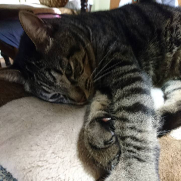 Ad3295b8 a60c 4e95 989d bcf68c07d7be 1535461352693