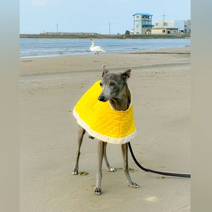 Ad32a23d a8b3 4eed 8bb7 6e4408297009 1763552898248