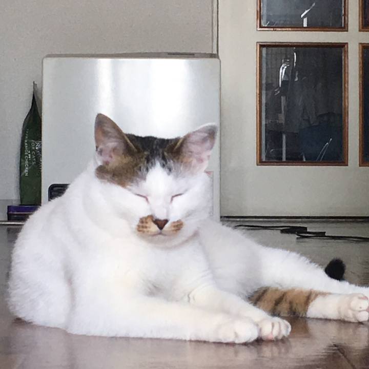 Ad32b437 ef44 4fb2 bcf6 28d82d03d32f 1520222981913