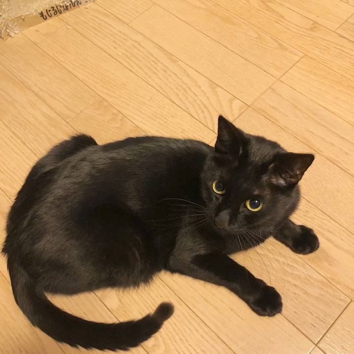 Ad3325e5 7b48 488c afcf 38edff1abe64 1583412029639