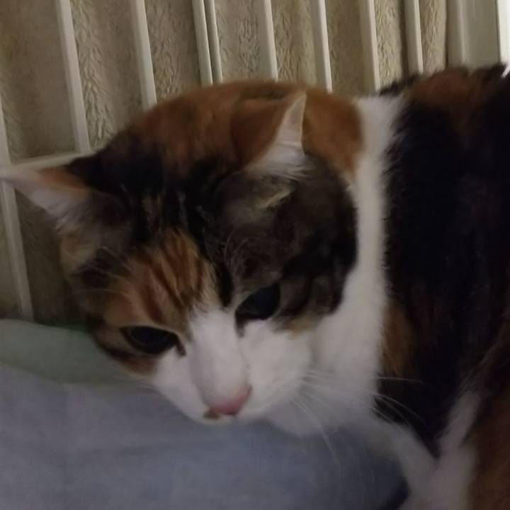 Ad333cad f131 4758 8bf8 ab3eed2994a1 1577397010949