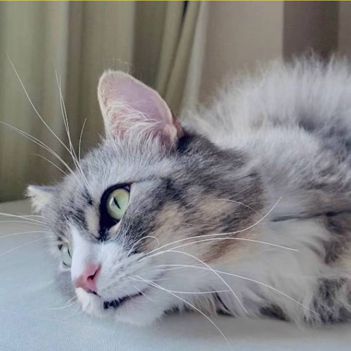 Ad334860 bafd 46a8 98b1 85defda9d7c2 1759721114126