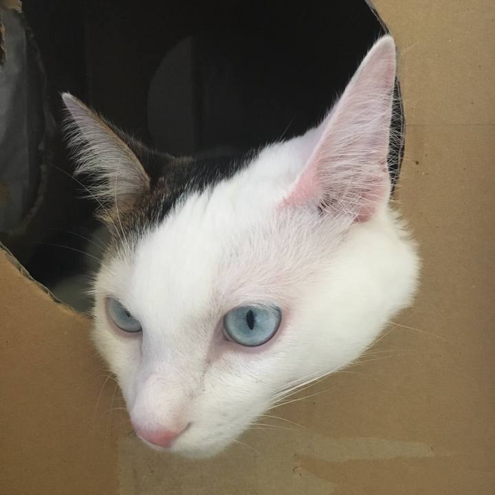 Ad338752 d67c 402d 9e07 113e53a306b8 1510707567515