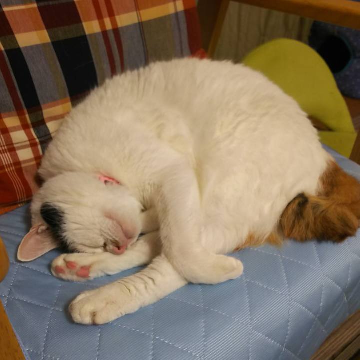 Ad33c1d0 ae7c 4187 9bf7 7bafecb0e21b 1567693300057