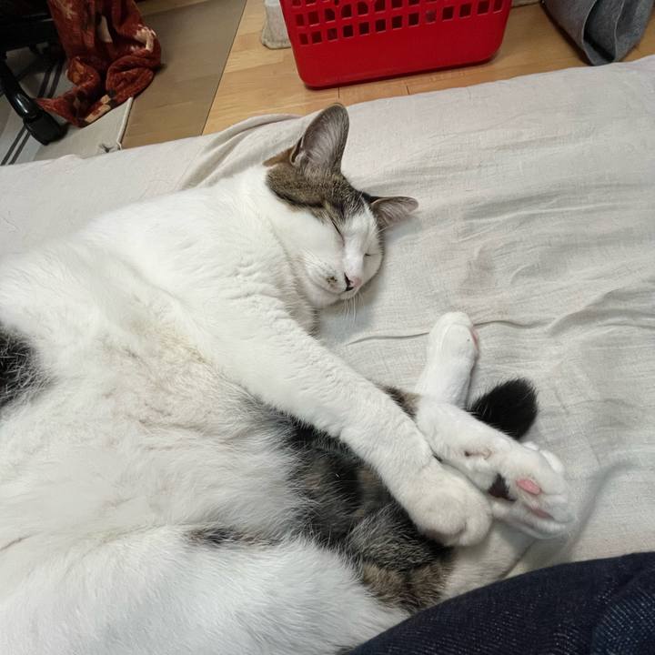 Ad33c833 3ef5 4e47 95c6 5bedea3f2ea8 1714567172522