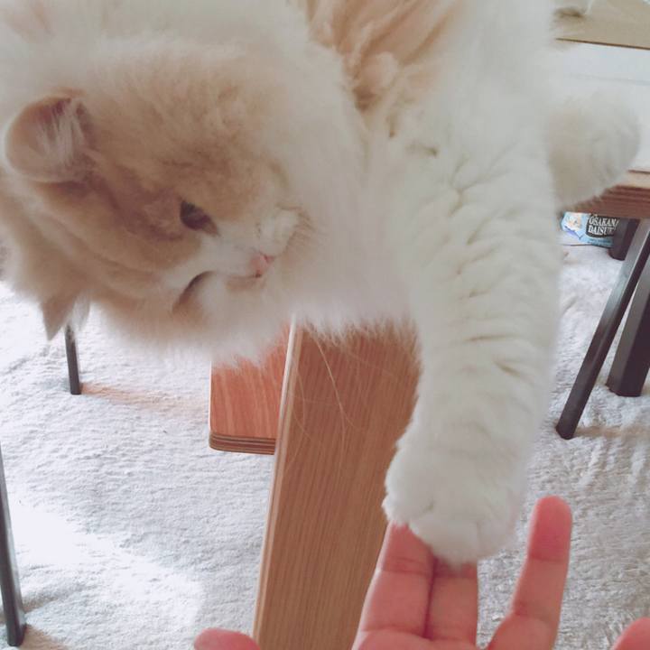 Ad340698 4c2a 4a59 8b61 88b346827eca 1548917449694