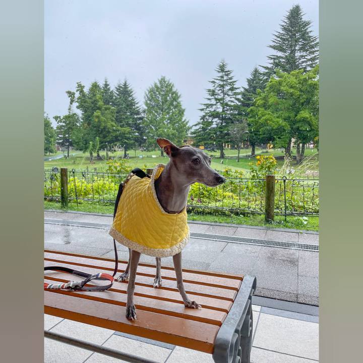 Ad343237 09cb 457a b1ce 6707b1c89766 1758186097039