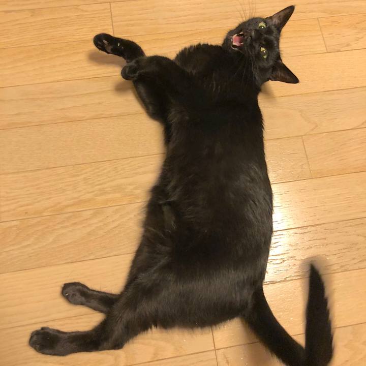 Ad344428 560b 4e91 b056 72a0545a3fed 1535887669536