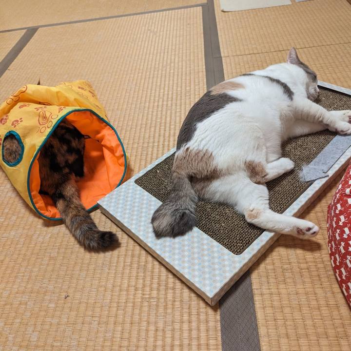 Ad345280 92a9 4ed4 9fe2 0cb819e299f7 1712726710580