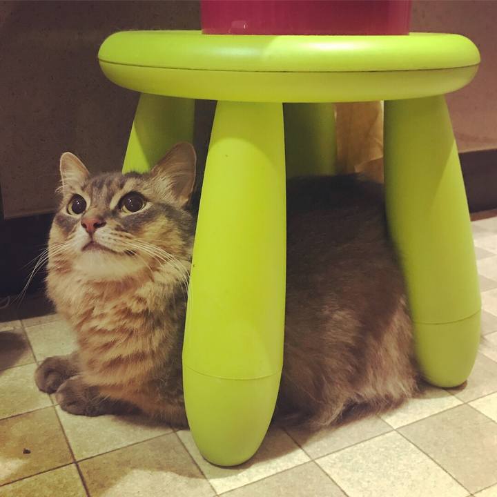 Ad34724a a6bb 449b bce3 89cdd1206f82 1535435437284