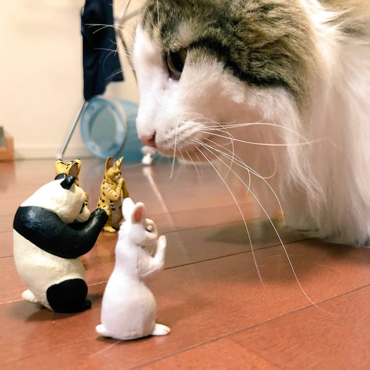 Ad354865 9427 478a 8b5f 14b1c3018b9c 1544081978385