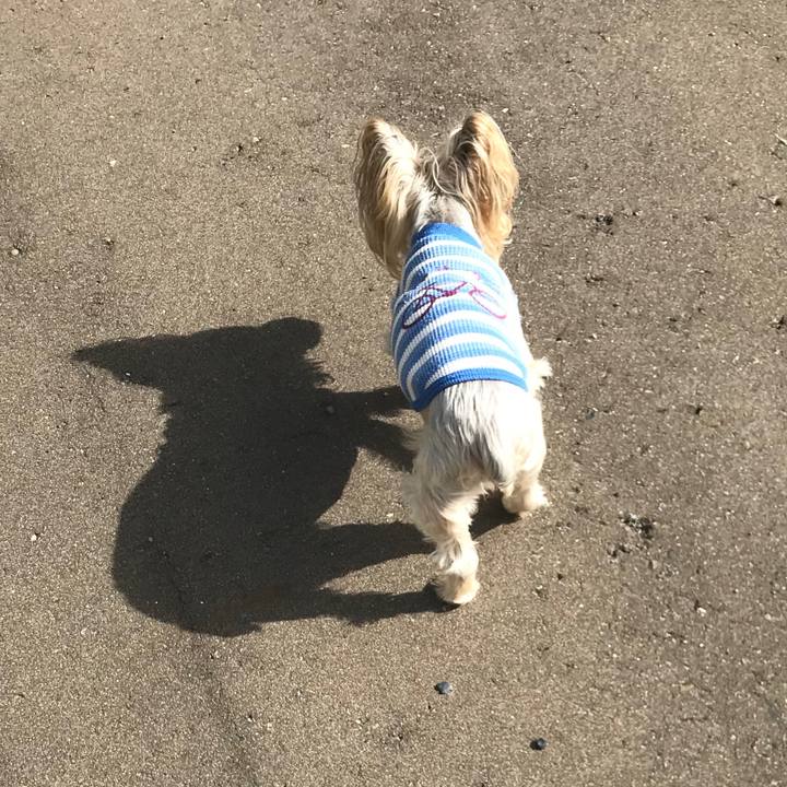 Ad355d09 95e9 4593 b618 3301872c3c73 1696411535125