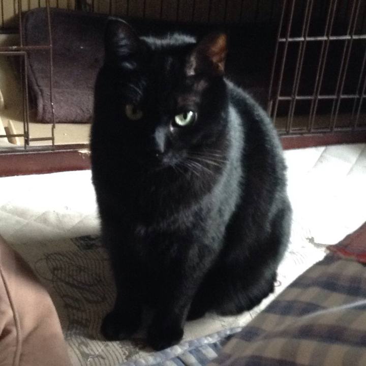 Ad357c81 5a16 4b04 8fad 866061b8ac63 1518679630735