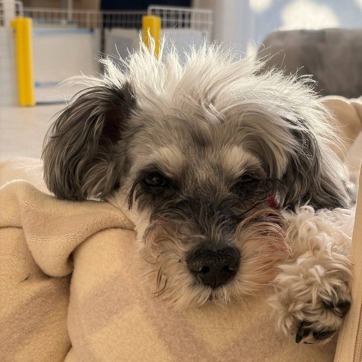 Ad357da4 f298 4264 80c1 a569441c39a0 1767786304954