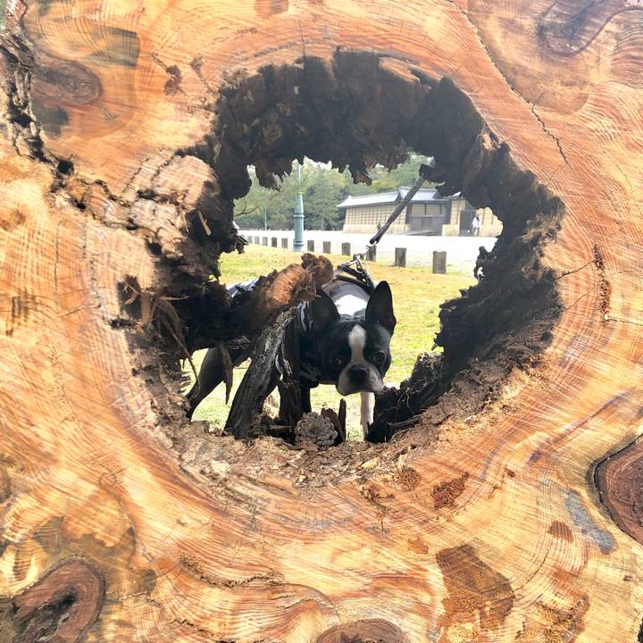 Ad357ed2 a9ed 4643 afe1 f21c16b84903 1583573783511