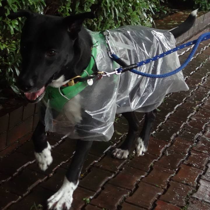 Ad35a049 d451 4fbc 8f63 f28e78e095a8 1594337558091