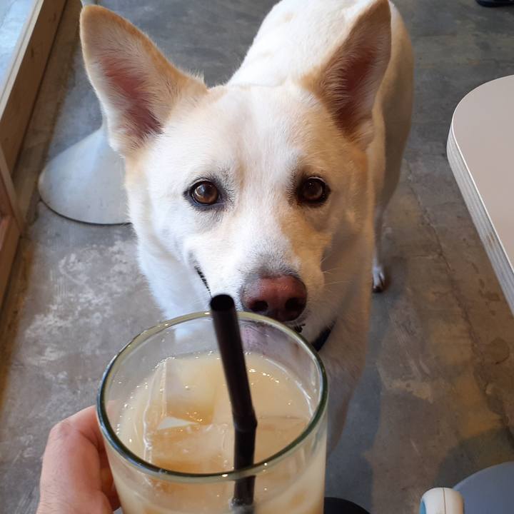 Ad35d759 f030 4db8 917c 5f754504323c 1694713407586