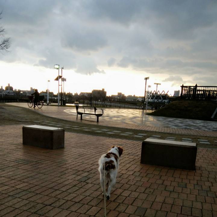 Ad35e66d 1f0f 46bd b5bf cfc0ad00261c 1550653223663