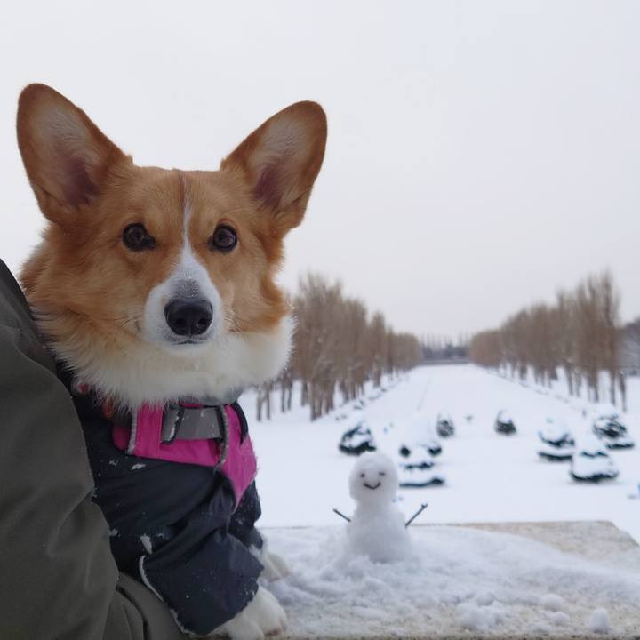 Ad35ea89 d375 4fb9 8cf3 81301e37ac0d 1767517097085