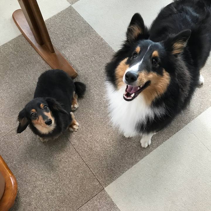 Ad3613f7 f9c6 4cd4 836b 7df0125b4d25 1528410086221