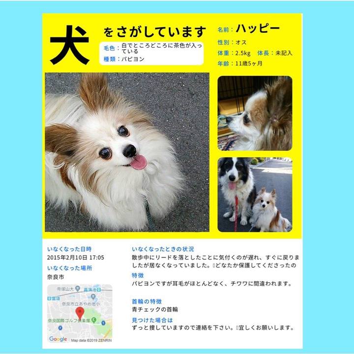 Ad361b98 c35a 4dbb b9e8 a121c7380d64 1549839189314