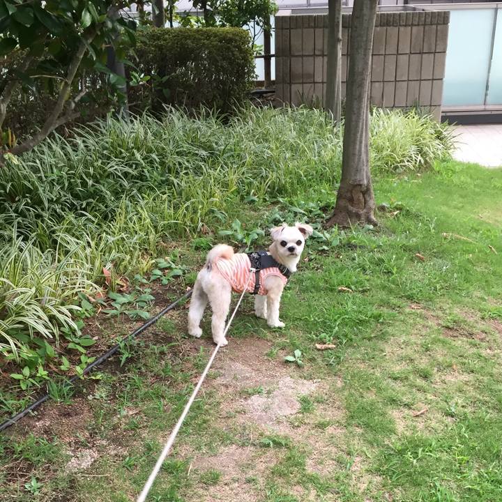 Ad362564 b248 4cdf bdb8 f36a1b64a1f6 1565475343751