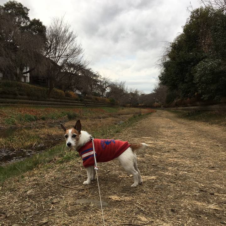 Ad36421e 5e8d 4358 9f6c ccf406acb296 1610925881665