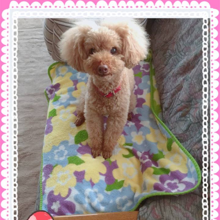 Ad3652ef 31b8 492a 8326 ee8f0efb3a5c 1516499427259