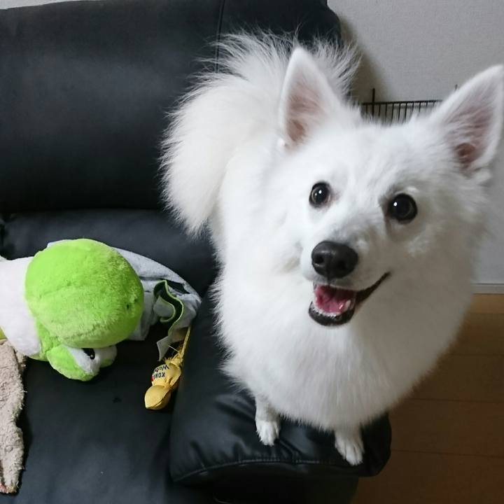 Ad368220 fe6b 4beb ba48 fc8c0c81c374 1513057718369