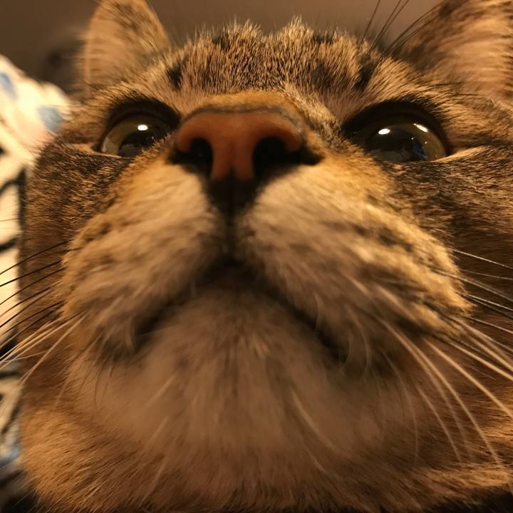 Ad369747 1c73 4b52 a05d baf5d7f1c1ba 1547723527283