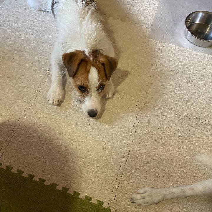 Ad36e2e3 7e6c 46a4 b2f5 e696e58684c0 1632008131275