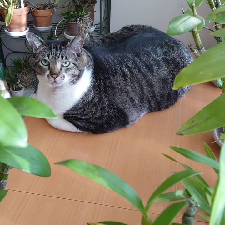 Ad37420c 155d 4957 aa63 5885fcd3d130 1609159069744