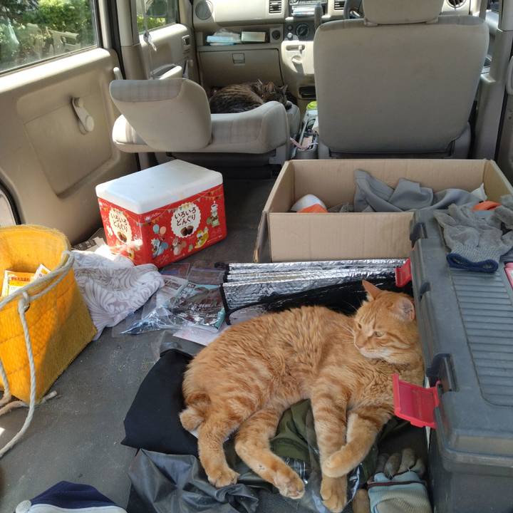 Ad3758e4 a39a 4c10 8db1 00b2d3d8ad79 1717556198053