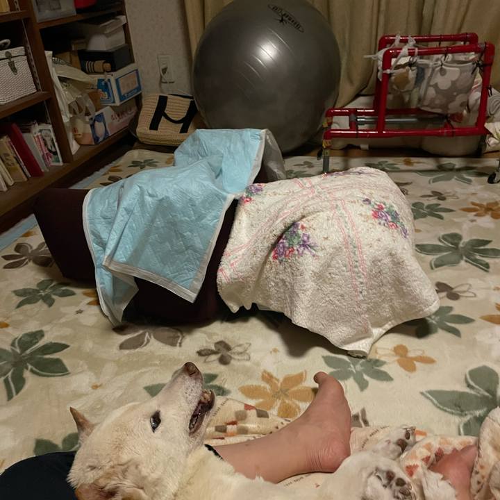 Ad3760dd 9850 4959 bf61 3e8bf7b5fb9d 1675962042809