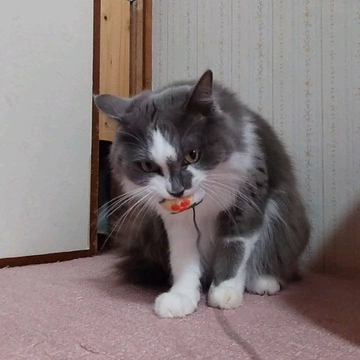 Ad379d34 ca8d 4d8f b245 81f7f8193c36 1734839227015