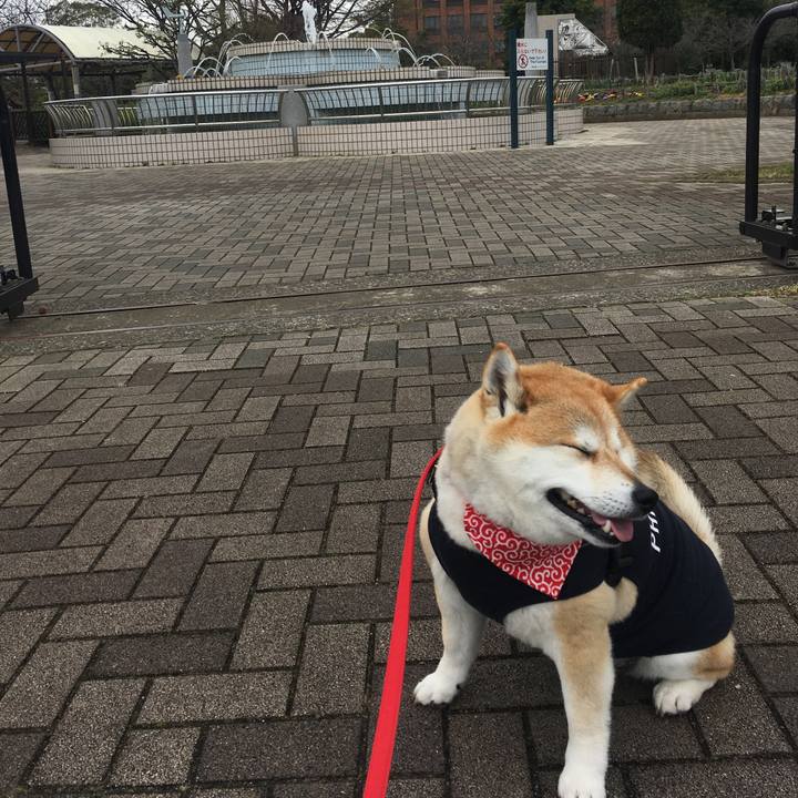 Ad37a291 a1aa 4571 a47b 3e3b9a6ad304 1583564243713