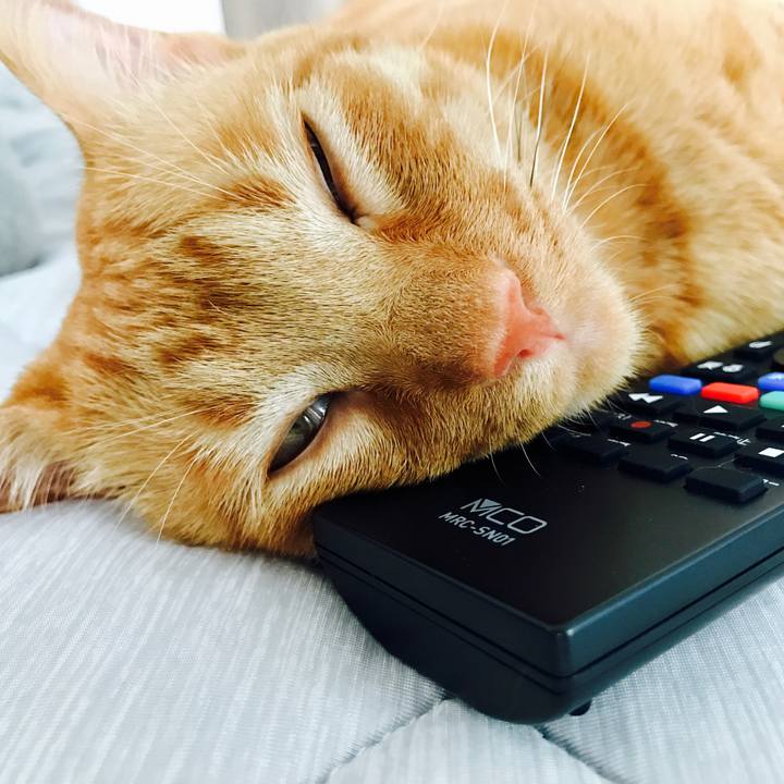 Ad37e068 e9b5 4f19 9ce4 5d7d4c02aa53 1594422806263