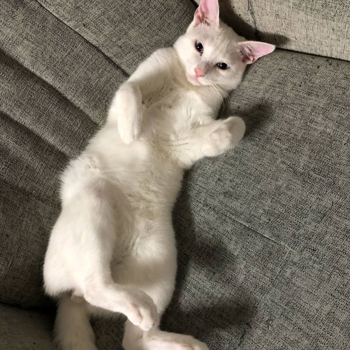 Ad37f772 ac15 4da7 986a d6f86b9724a3 1545977652757