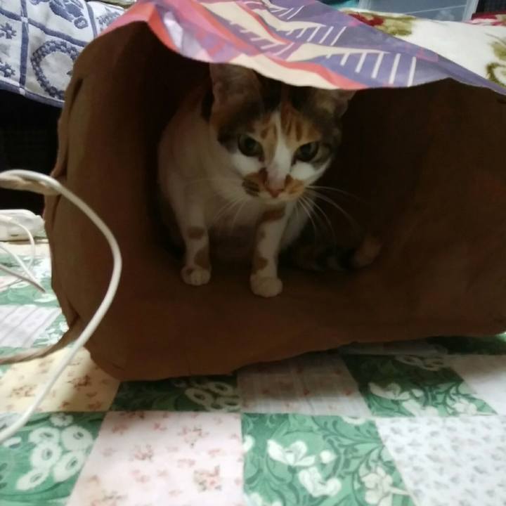 Ad387301 3549 46e5 bdbe 0bead8313f1f 1542276829588