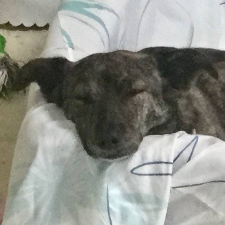 Ad387b68 d660 495a b67b 55a7f45f580e 1552971196114