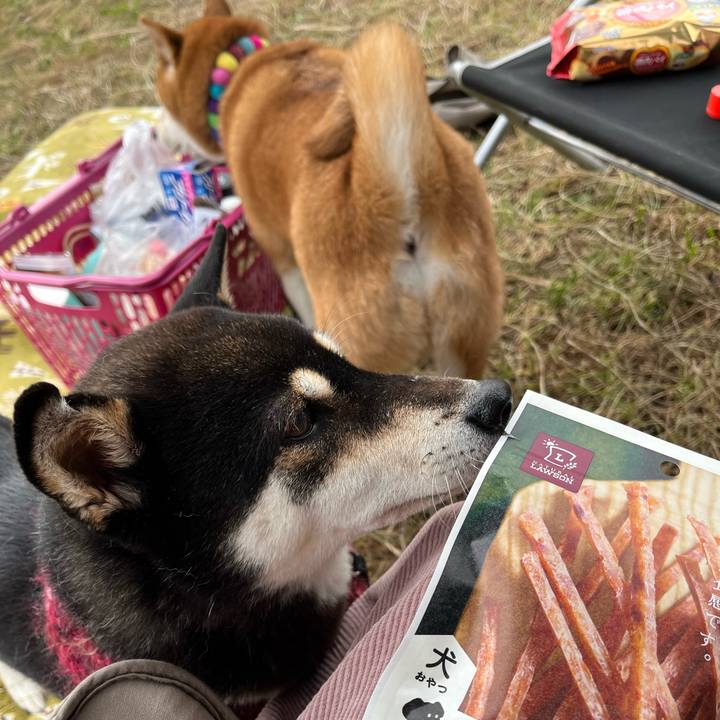 Ad388900 ff73 4397 a795 40199d2f5034 1636905376810