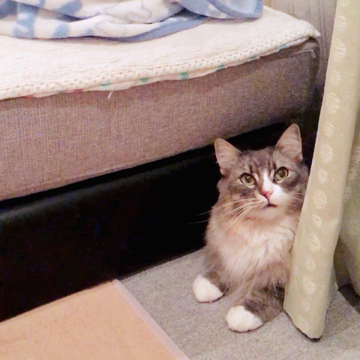 Ad38b903 e7f8 44a8 84f6 254dfc149b7e 1558460484150